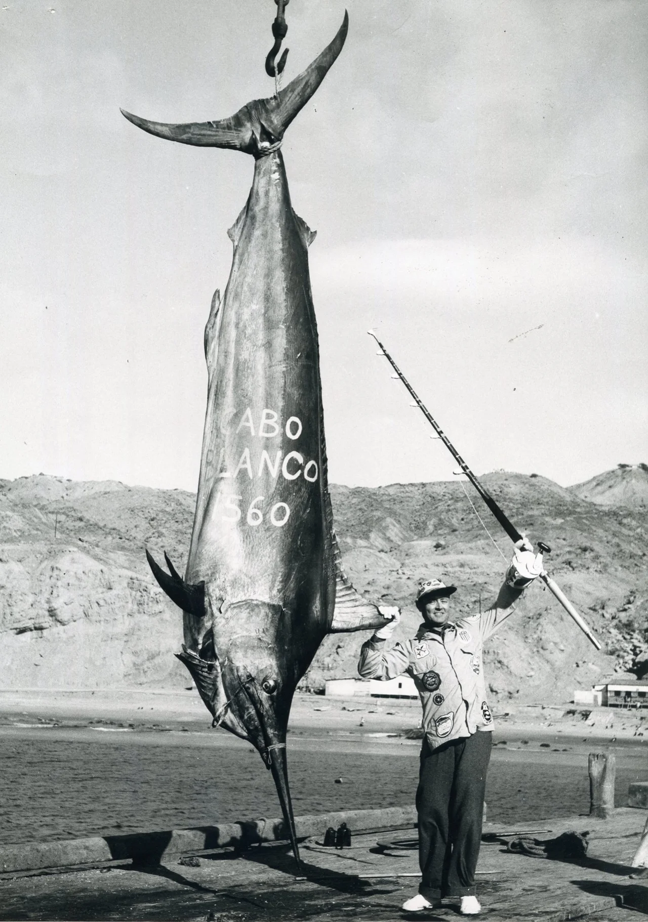 Record-breaking 1,560-pound black marlin caught by Alfred C. Glassell Jr. off of Cabo Blanco, Peru