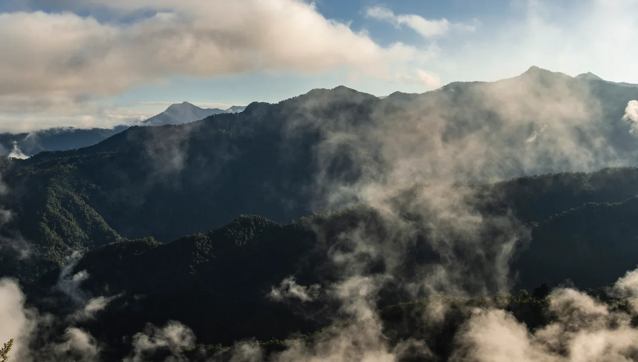 Landscape view of the Bellavista Cloud Forest