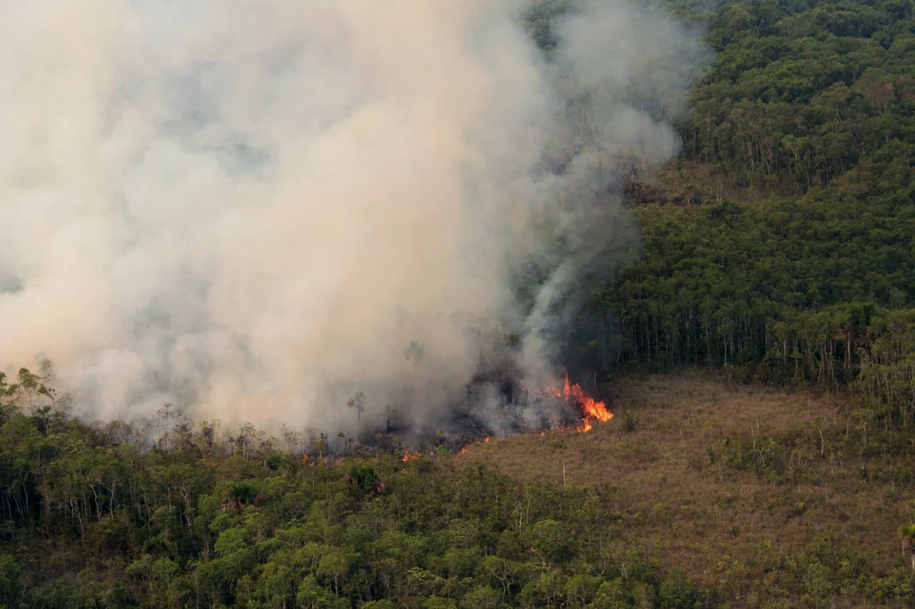 Prevfogo/Ibama combate incêndio florestal no Parque Indígena do Xingu, no Mato Grosso.
Foto: Vinícius Mendonça - Ascom/Ibama