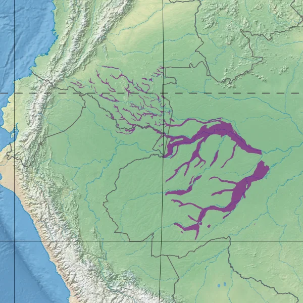 Ecoregion NT0156 - Purus várzea (in purple)