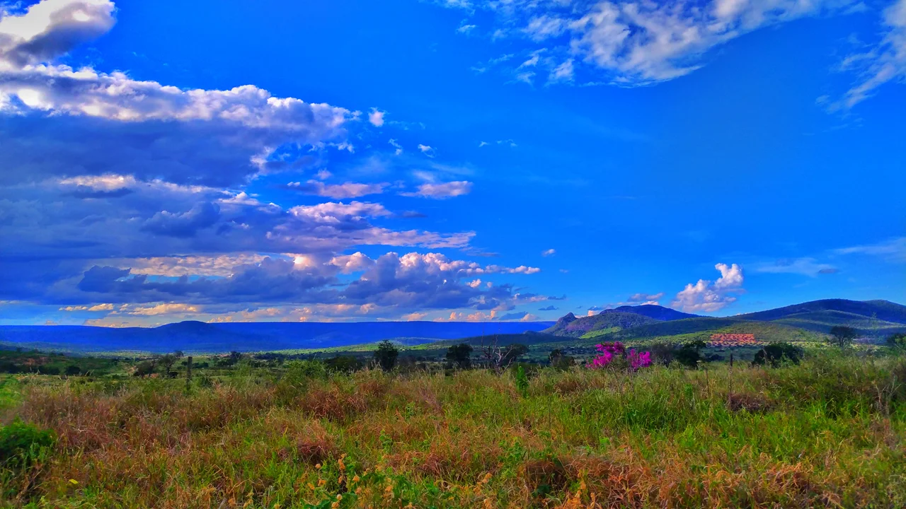 Campo iminente ao Rio Jequitinhonha, no qual não aparece na imagem. O céu azul e vegetação rasteira característica da Região do Vale do Jequitinhonha é o destaque da imagem.