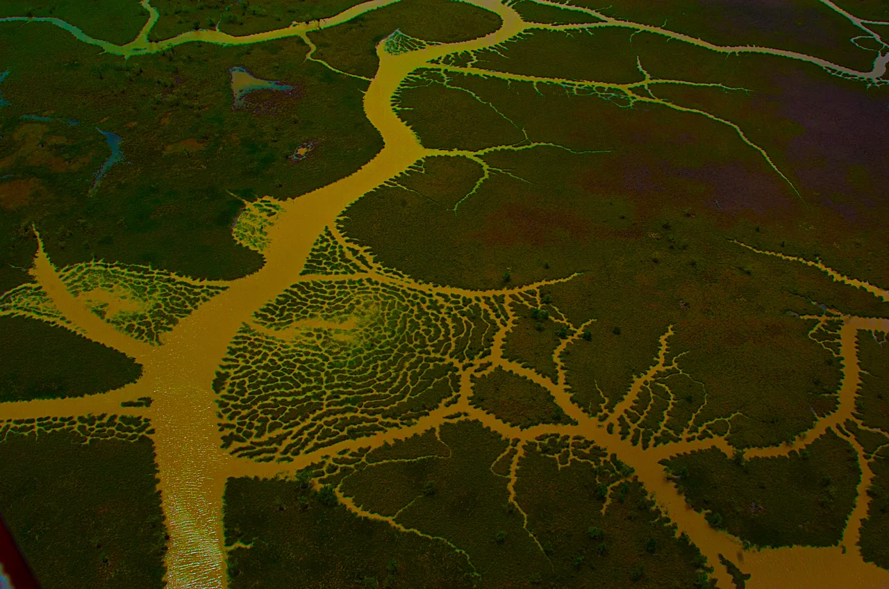 O Delta do Parnaíba e suas  belas paisagens do mundo. Está localizado entre os estados do Maranhão e Piauí tendo em Parnaíba sua porta de entrada