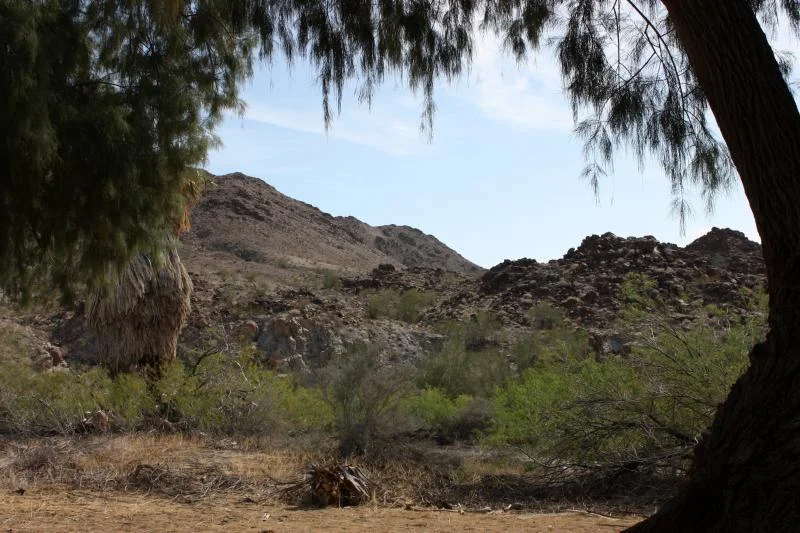 Corn Springs CA