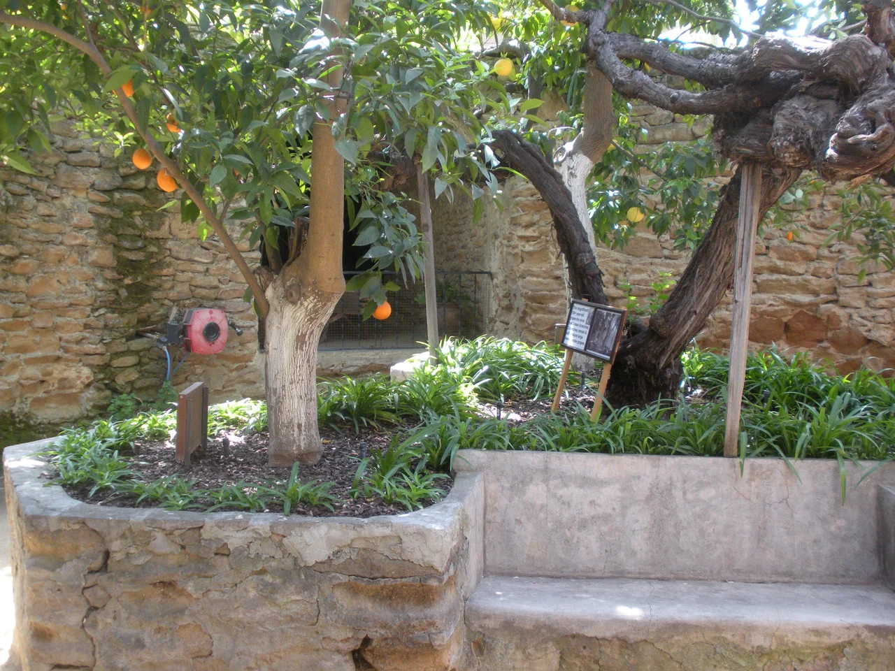 This is a pair of citrus trees at the Forestiere Underground Gardens.





This is an image of a place or building that is listed on the National Register of Historic Places in the United States of America. Its reference number is 77000293 (Wikidata).
