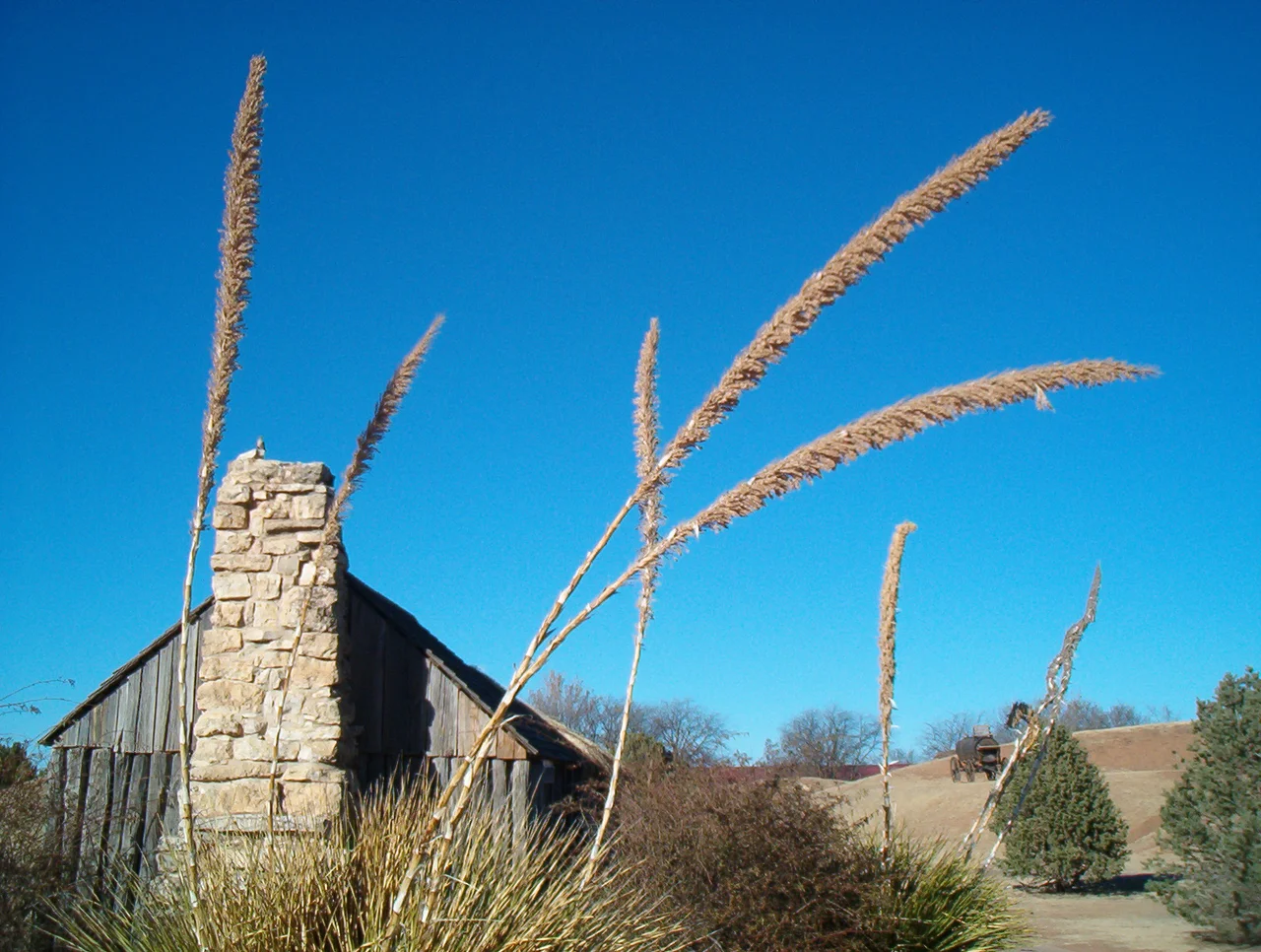 1800s Ranch house — at the National Ranching Heritage Center.
At Texas Tech University in Lubbock, Texas.