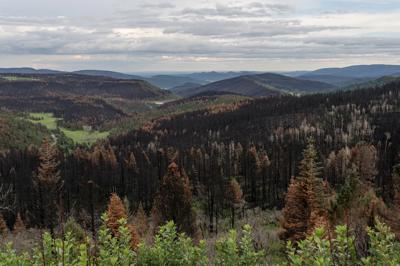 Looking south from NM518 towards burn scars from the Calf Canyon-Hermits Peak Fire. 
Photo was taken just north of Holman, New Mexico on 16 August, 2022.