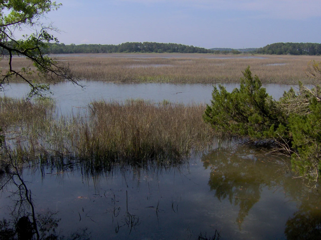 Jones Marsh, viewed from the Wormsloe Historic Site near Savannah, Georgia, in the southeastern United States.  Long Island spans most of the horizon, although part of Skidaway Island is visible through a break in the treeline in the top-right.  In colonial times, the Skidaway River flowed through this channel (it now flows between Long Island and Skidaway Island), placing Wormsloe in a strategic position along Georgia's intracoastal waterway.