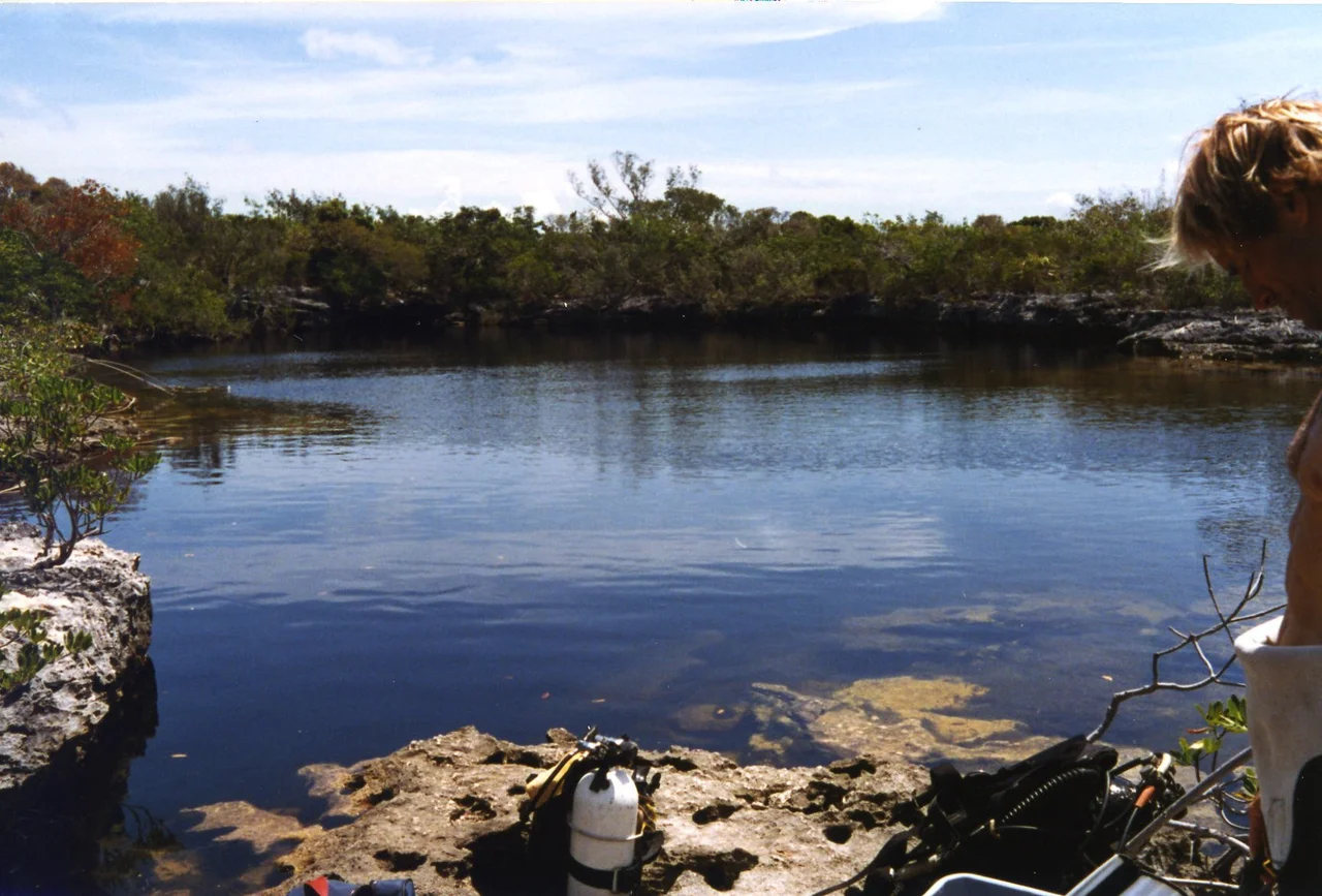 Guardian Blue Hole on Andros Island in the Bahamas.