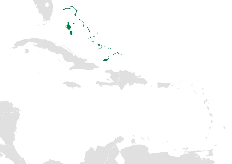 Map of the Caribbean nations.  W3C-validity not checked.