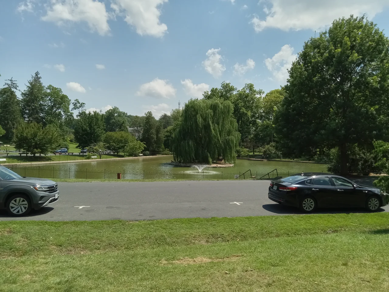 Duck Pond at Gypsy Hill Park with weeping willow on island