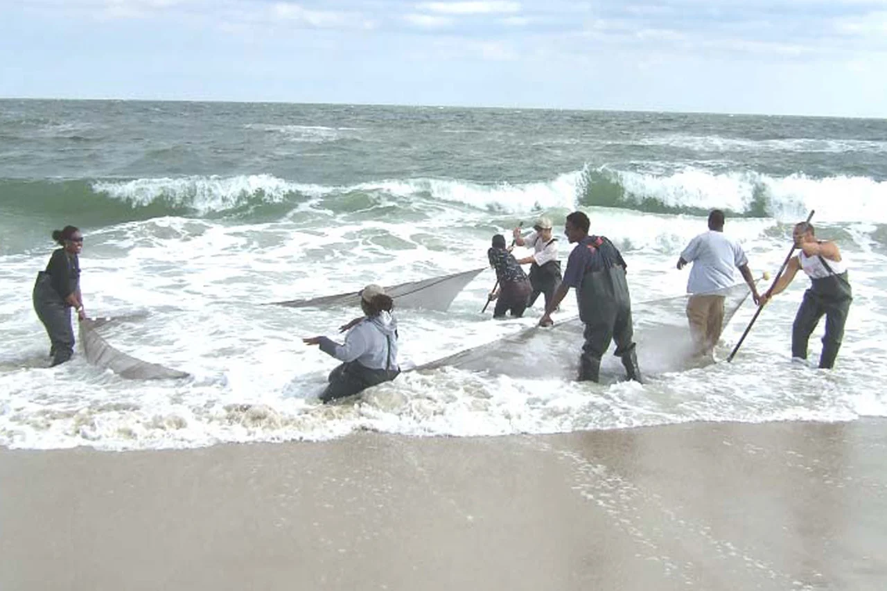Greetings from Maryland's eastern shore! 
NOAA's Office of Education sent this photograph of fieldwork led by Dr. Joseph Love, a faculty researcher with the NOAA Living Marine Resources Cooperative Science Center at the University of Maryland Eastern Shore. Dr. Love took his undergraduate and graduate students on a two-day field trip to Assateague Island for a variety of sampling activities. The students are sampling for fishes in the surf zone on the island. The mission of the Center is to conduct research congruent with the interests of NOAA Fisheries and to prepare students for careers in research, management, and public policy that support the sustainable harvest and conservation of our nation's living marine resources. The Center is a part of NOAA's Educational Partnership Program with Minority Serving Institutions. To date, 311 University of Maryland Eastern Shore students have participated in the program and several are now NOAA researchers or scientists. 

Pictured are (from left): Danielle Taylor, Dr. Joseph Love, Ryan Corbin, Greg Oliver, Brandon Fortt, and Reginald Black.