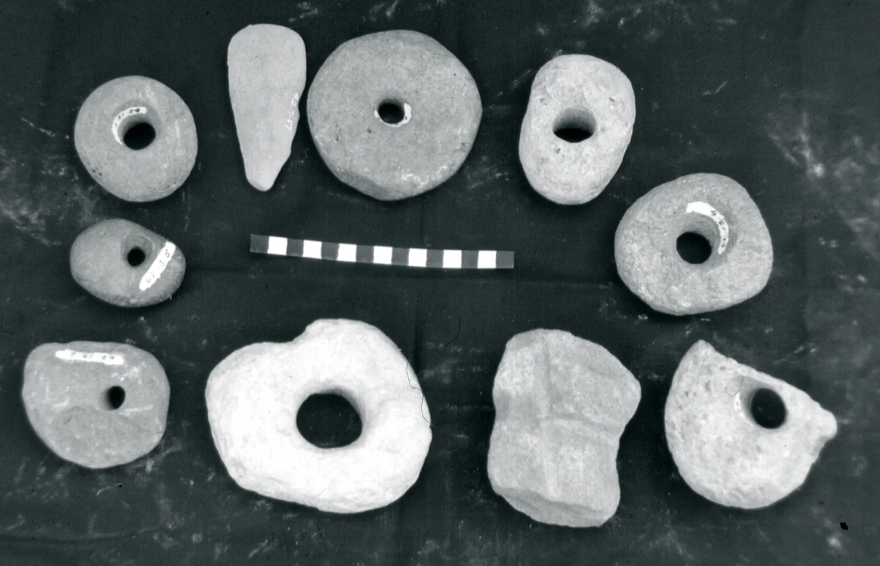 Photo taken in 1968 at the Sierra Leone Museum, Freetown. Scale in centimetres.
From ethnographic analogy, these were probably used as digging stick weights, possibly in mining activities.
Short discussions of bored stones in West Africa can be found in the following:
R. Schnell, PLANTES ALIMENTAIRES ET VIE AGRICOLE DE L'AFRIQUE NOIRE: Essai de phytogógraphie alimentaire, pp. 45-46. (Larose, Paris, 1957) There is even a photograph of them being used (opposite page 176).
Oliver Davies, THE QUATERNARY IN THE COASTLANDS OF GUINEA (Glasgow, 1964), pp. 196 -199.
Oliver Davies, WEST AFRICA BEFORE THE EUROPEANS (London, 1967), p. 203
John H. Atherton, "Speculations on Functions of Some Prehistoric Archaeological Materials from Sierra Leone," In B. K. Swartz, Jr. and Raymond A Dumett, editors, WEST AFRICAN CULTURAL DYNAMICS (The Hague, 1980), pp. 266 - 270)