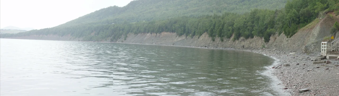 Falaise du Parc national de Miguasha (Québec), dans laquelle affleurent les couches dévoniennes riches en fossiles de poisson.  

Cliff of the Miguasha National Park (Québec), with the Devonian beds that are rich in fish fossils.