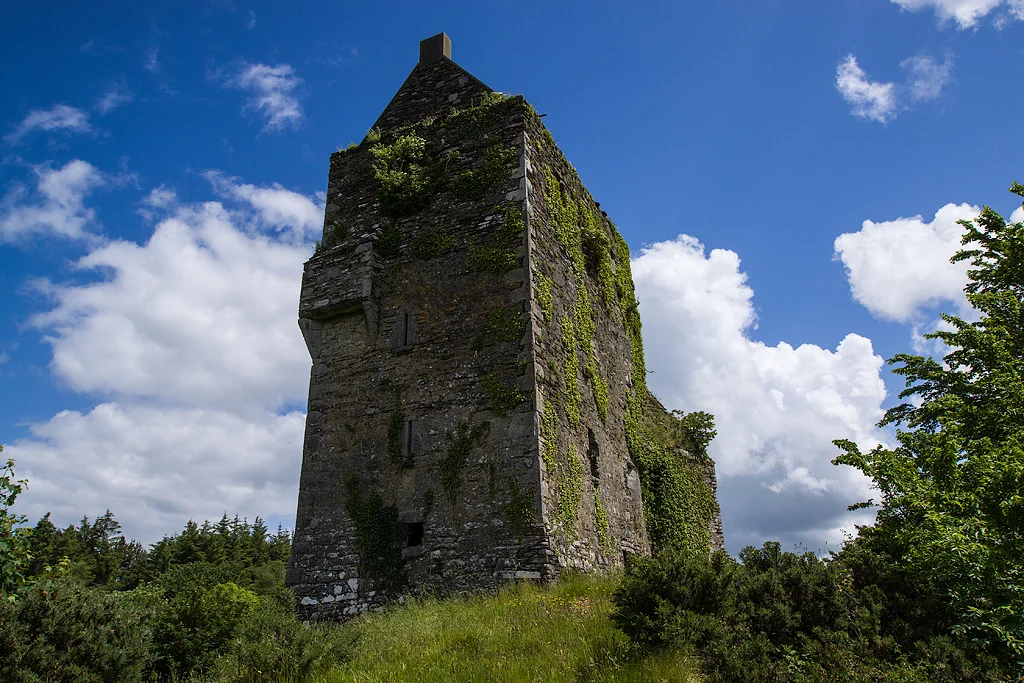 Castles of Munster: Carrignacurra, Cork (2)