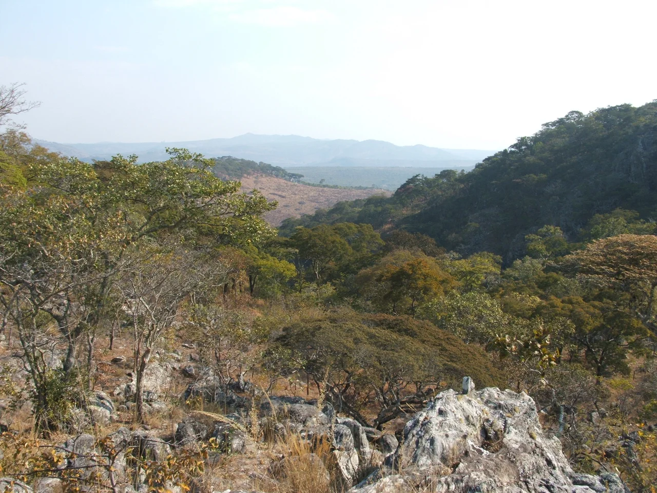 View of "Large Circle" chitemene on far hillside at Kundalila Falls, approximately 45km east of Serenje Boma, Serenje District, Central Province, Zambia.