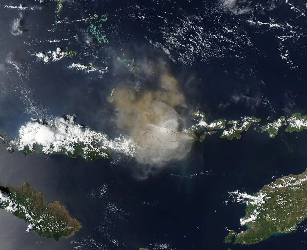 Minutes before midnight on November 3, 2024, a series of explosive, deadly eruptions began to at Mount Lewotobi Laki-Laki—a volcano on the Indonesian island of Flores. A particularly strong eruption sent hot ash as high as 2,000 meters (6,500 feet) into the air, some of which fell on several surrounding villages.
This initial large eruption affected more than 10,000 people, according tin Indonesia’s National Disaster Management Agency. Media reports that at least 10 people were killed in Klatanlo Village, near the volcano. Another 63 people have been reported injured, more than 2,300 houses were damaged, and clouds of volcanic ash have disrupted flights in the area.
Mount Lewotobi is composed of the two adjacent stratovolcanoes: Laki-Laki and Perempuan (the "husband” and “wife", respectively), which lie less than 2 kilometers apart. The recent strong eruptions at Laki-Laki were preceded by about ten months of increased activity at the site. Plumes from milder eruptive activity had often drifted westward, sometimes interfering with flights at a nearby airport. Immediately preceding the early November eruption, the country’s volcano monitoring agency noted increasing earthquakes near Mount Lewotobi. On November 1, 119 deep volcanic earthquakes were noted.

The Moderate Resolution Imaging Spectroradiometer (MODIS) on NASA’s Aqua satellite acquire a true-color image of the island of Flores, Indonesia, on November 19. Dark tan volcanic ash was rising nearly straight up from an active eruption of Mount Lewotobi and was so thick it obscured the ground from view. Pale colored “vog” (volcanic fog) also can be viewed near the ash column and to the northeast of the volcano.