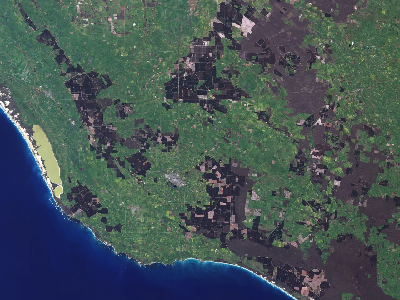 This photo-like image of Mount Gambier was acquired from low-earth orbit by the Landsat 7 satellite’s Enhanced Thematic Mapper Plus (ETM+) instrument. In this late spring image, vivid green fields surround the white limestone and concrete of the town. Much of the greenery is dairy pastureland, supporting one of the major local industries, cheese. Patches of deep, dark green are pine plantations, which support another mainstay of the local economy, timber. But perhaps the most striking feature is the pair of caldera lakes immediately south of the town. True to its name, Blue Lake is blue in the image, even though ETM+ acquired the image a month before the Blue Lake Days festival and the normal colour-turning of the lake. The lake turns blue at different times each year, and the satellite may have captured this image as the lake transitioned from its dark blue winter colour to the bright blue summer colour, a shift that occurs over weeks. Also, the satellite may have observed more blue light than a person standing by the lake would, since blue light tends to scatter up more than out at an angle. Thus someone immediately above the lake looking down would see a more blue-toned surface than a person standing on the rim of the caldera.