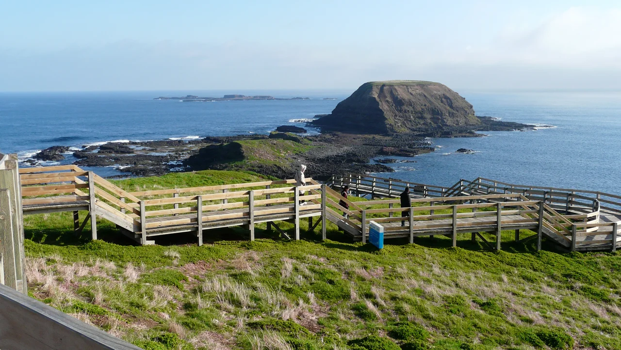 Nobbies, Phillip Island