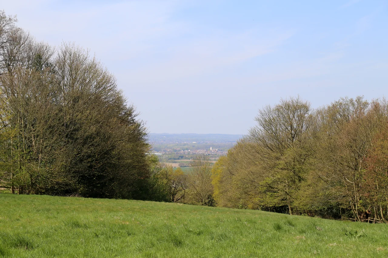 The trail of the Centenary Walk in Epping Forest, south of High Beach, Essex - England.
Taken by myself with a Canon 5D and 24-105mm f/4L IS lens.