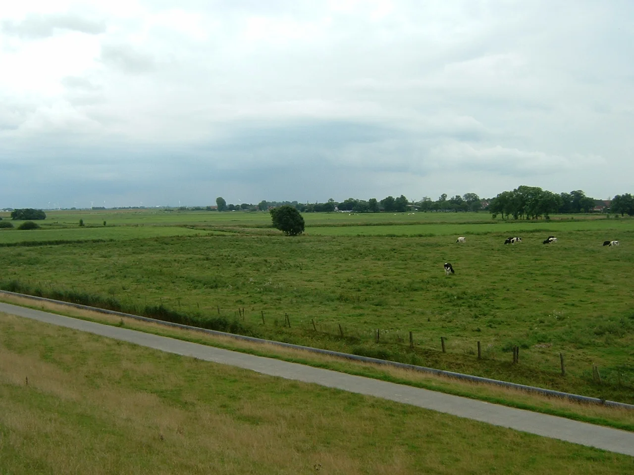 Rheiderland.jpg