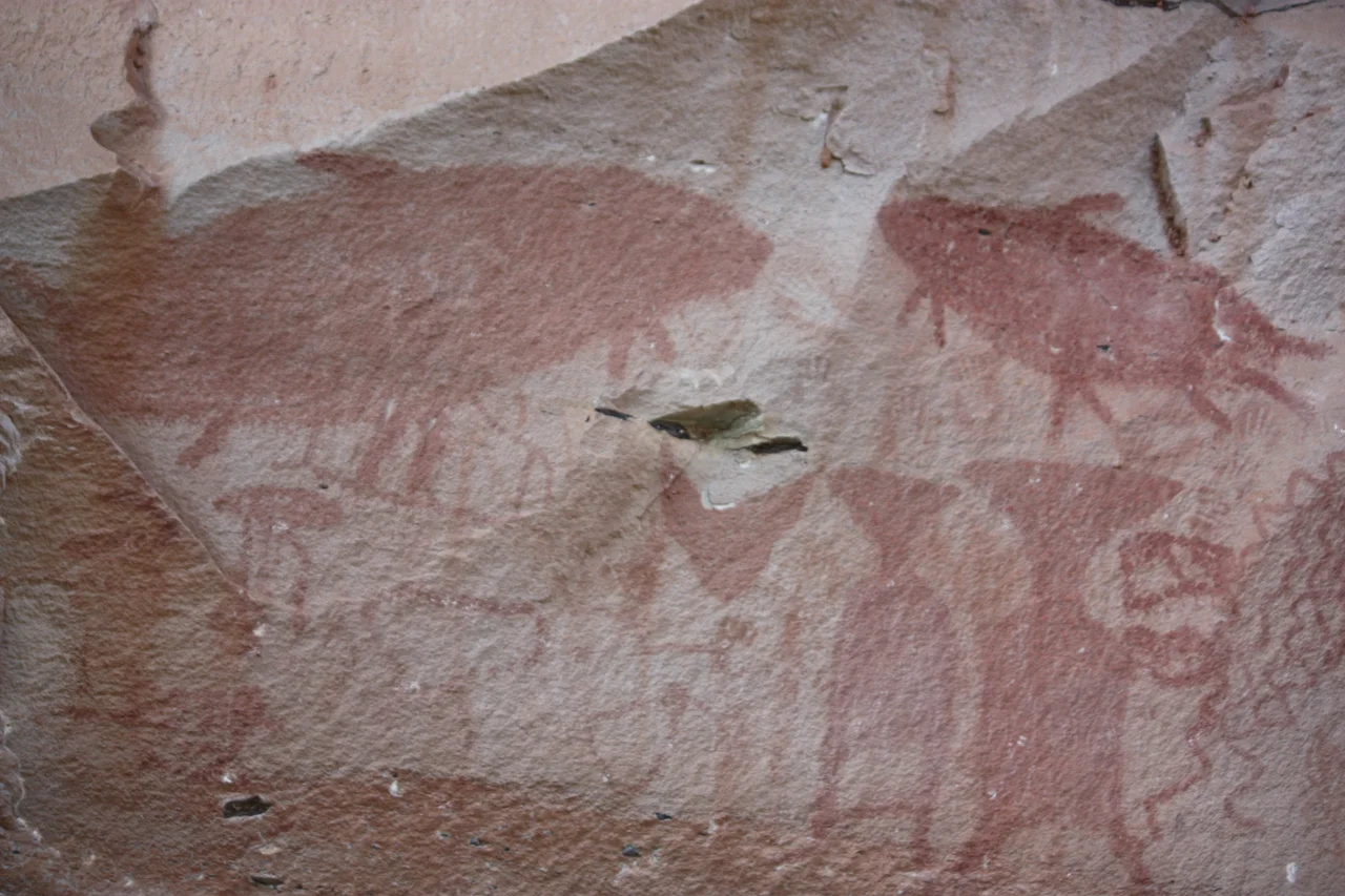 Pha Taem National Park - Rock art includes both humanoid and animal figures like the Giant Mekong Catfish

Own work December 2010.