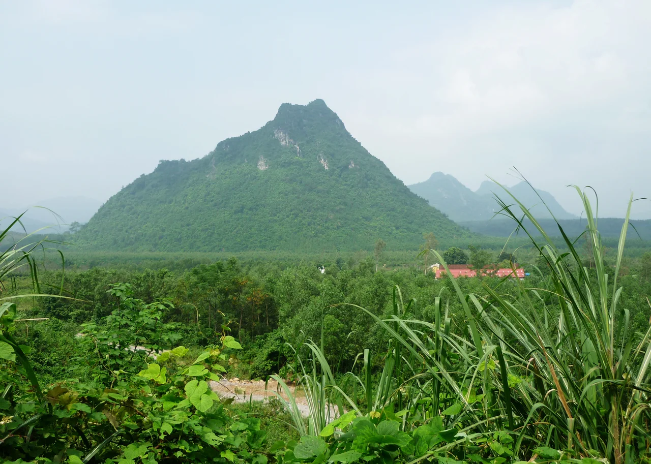 The Rockpile